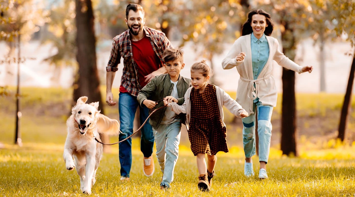 Page header image