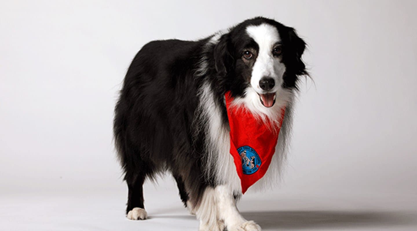 Baily poses for a photo