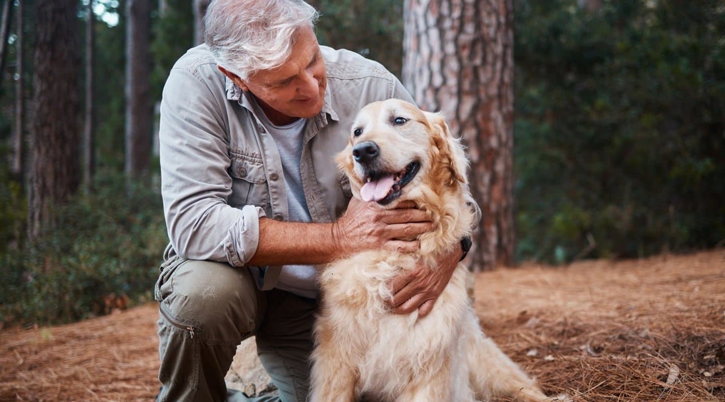 Man hiking in woods with golden retreiver