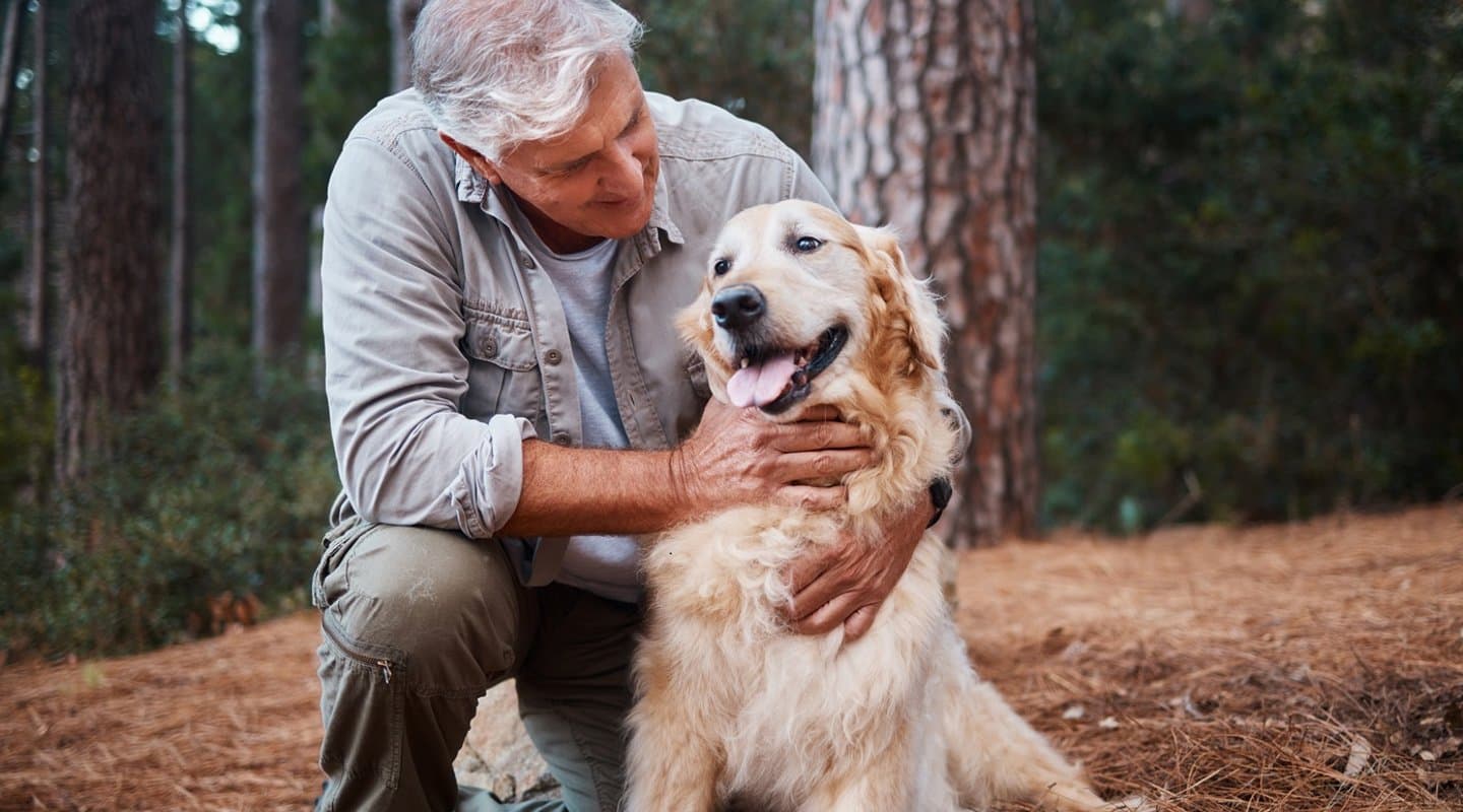 Man hiking in woods with golden retreiver