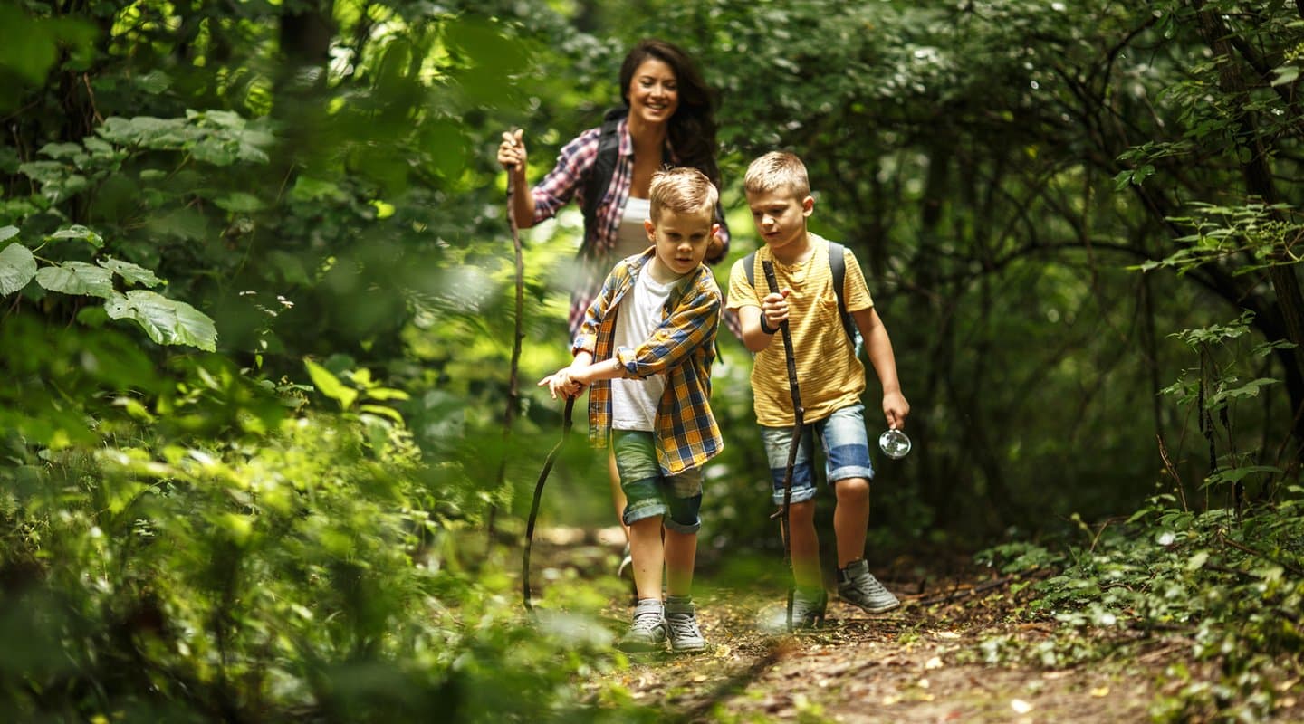 Tick safety tips everyone should know