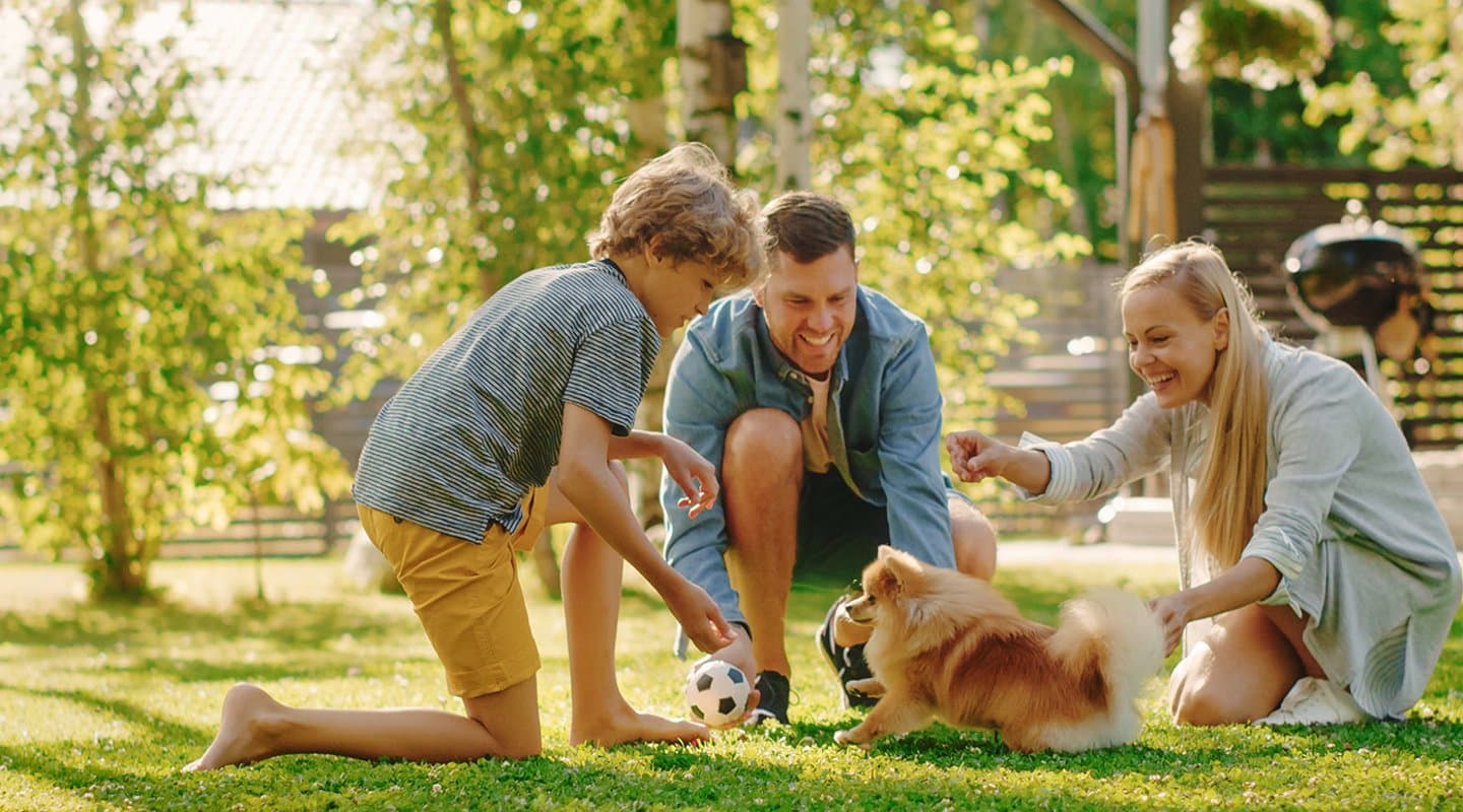A family plays outside in their back yard with a puppy