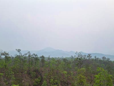 Air quality 101: Tips for staying safe during poor conditions
