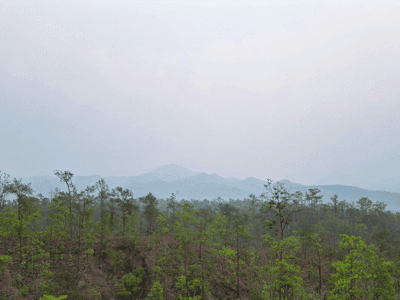 Air quality 101: Tips for staying safe during poor conditions