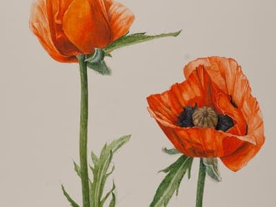 The Art of Healing Through Expression and Creativity