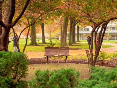 The Red Zone: Understanding the surge in campus sexual assaults