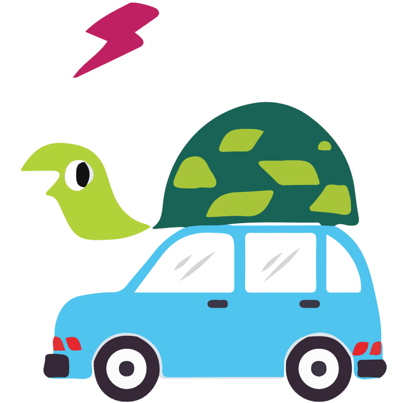 turtle_938x928