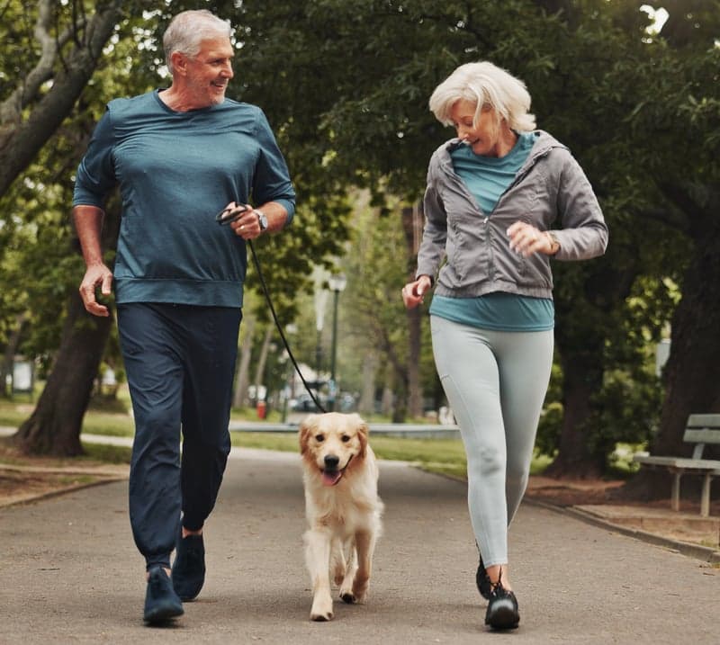 An older man and woman jog with a golden retriever in a park