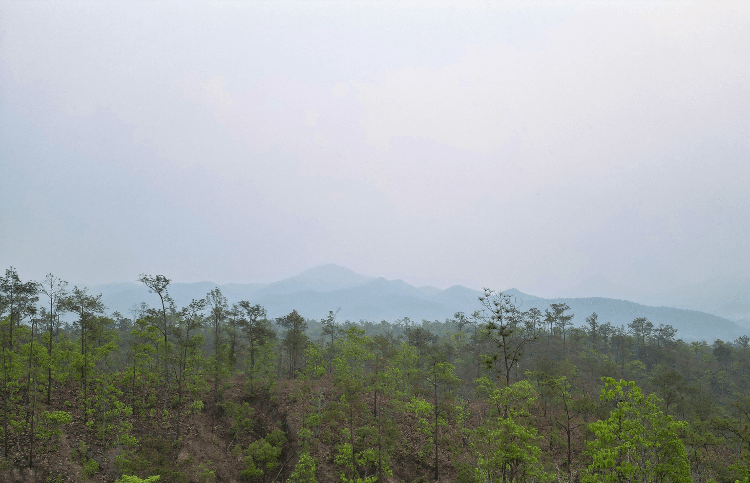 Air quality 101: Tips for staying safe during poor conditions