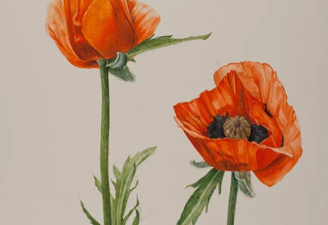 The Art of Healing Through Expression and Creativity