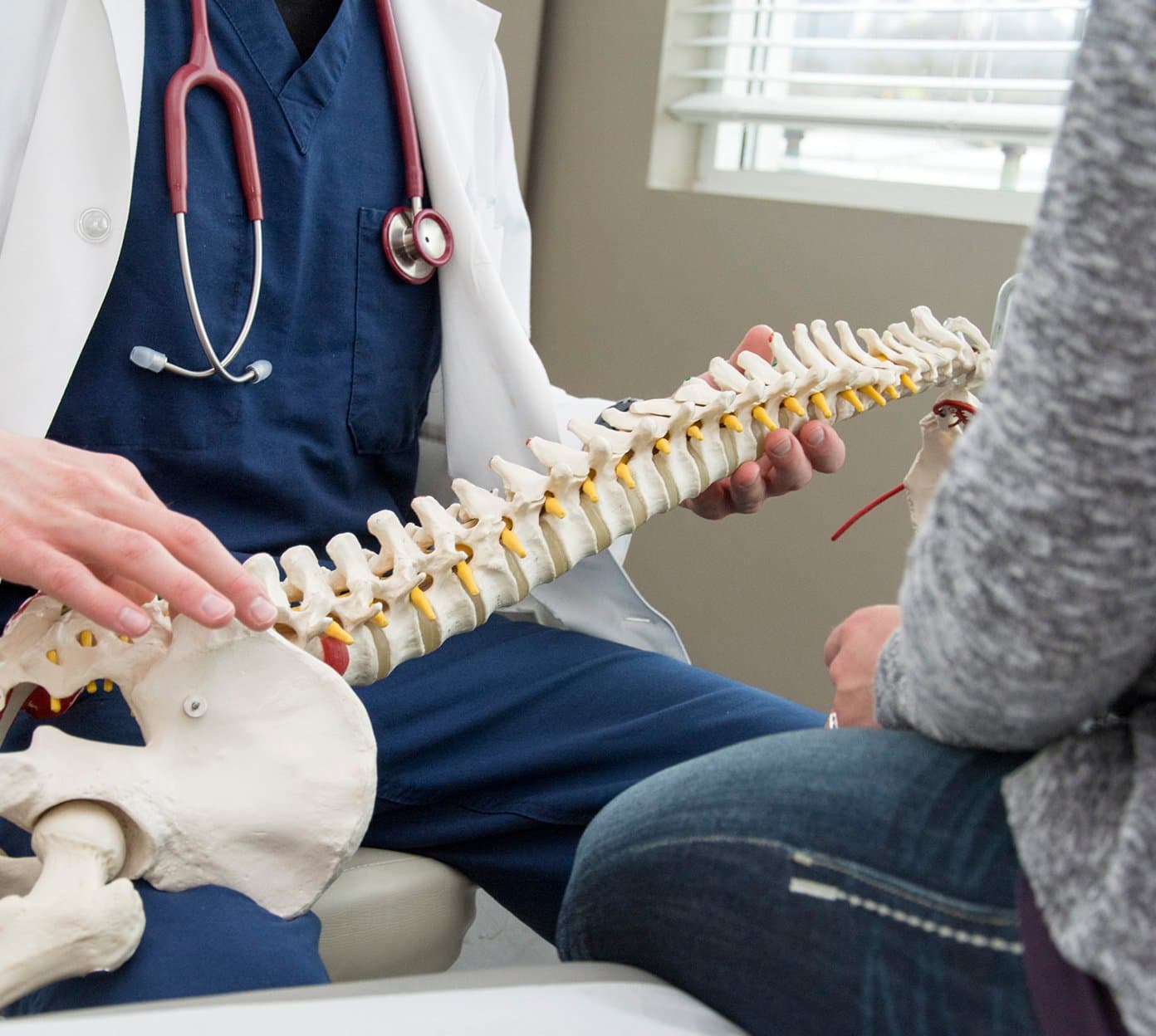 Doctor holds a model of a spine