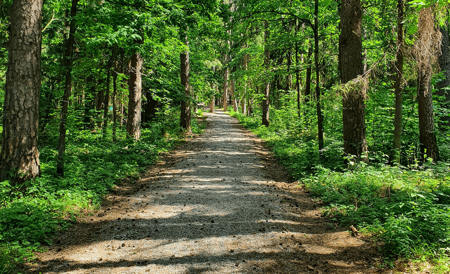 Tips for a happy, healthy summer
