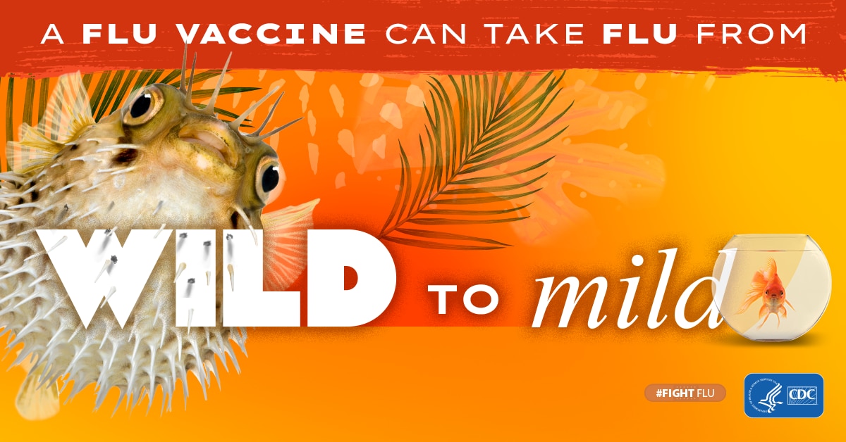 A puffer fish and golf fish illustrate why a flu shot is important