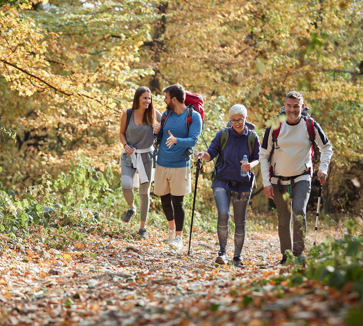 Two couples hike through a nice autumn forest