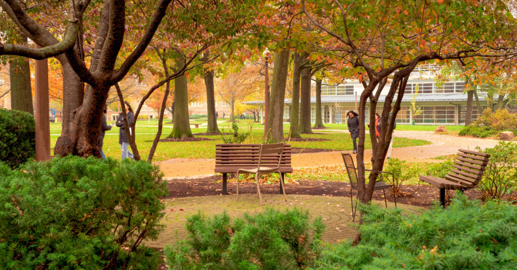 Students walking on a college campus in the fall.