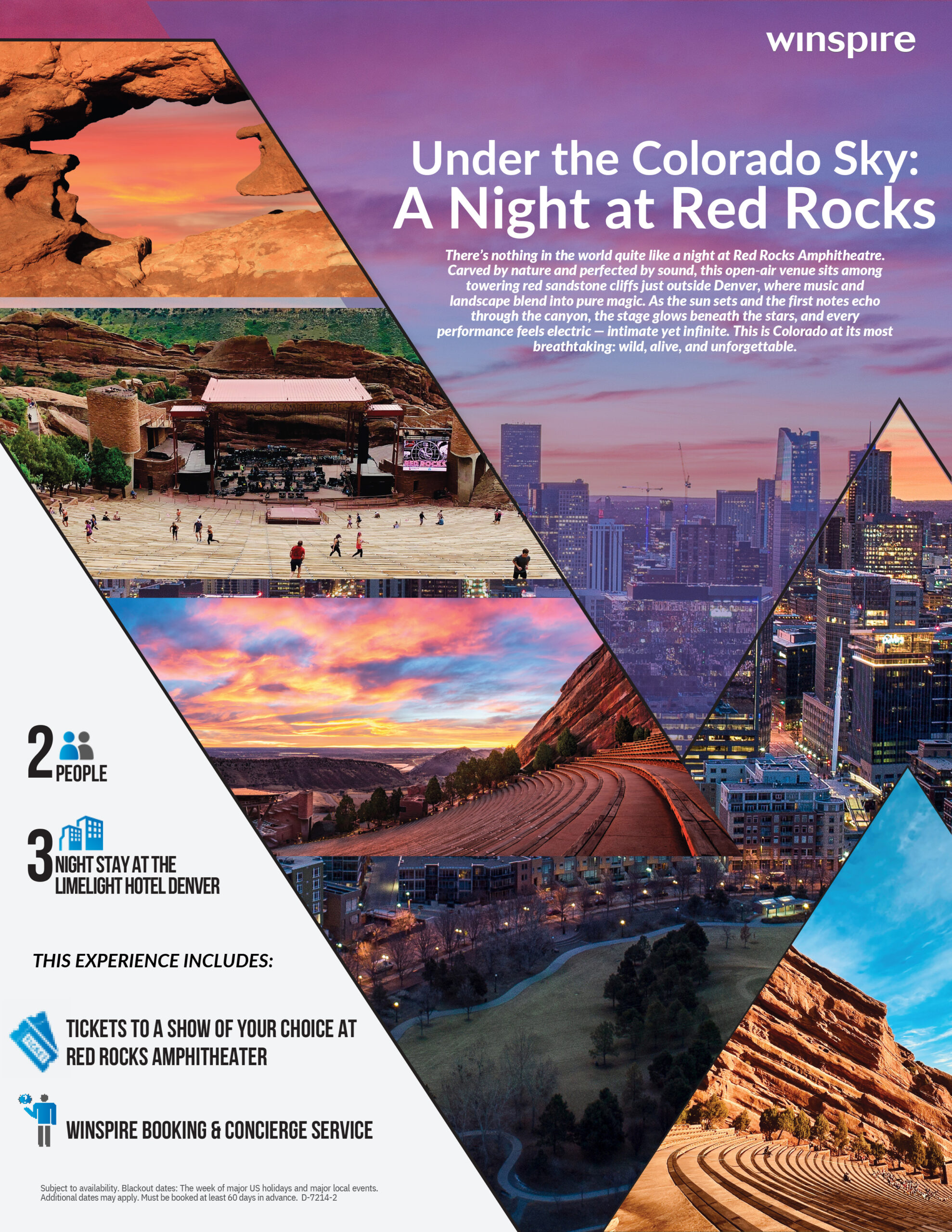 Flyer for the Charity Ball raffle trip