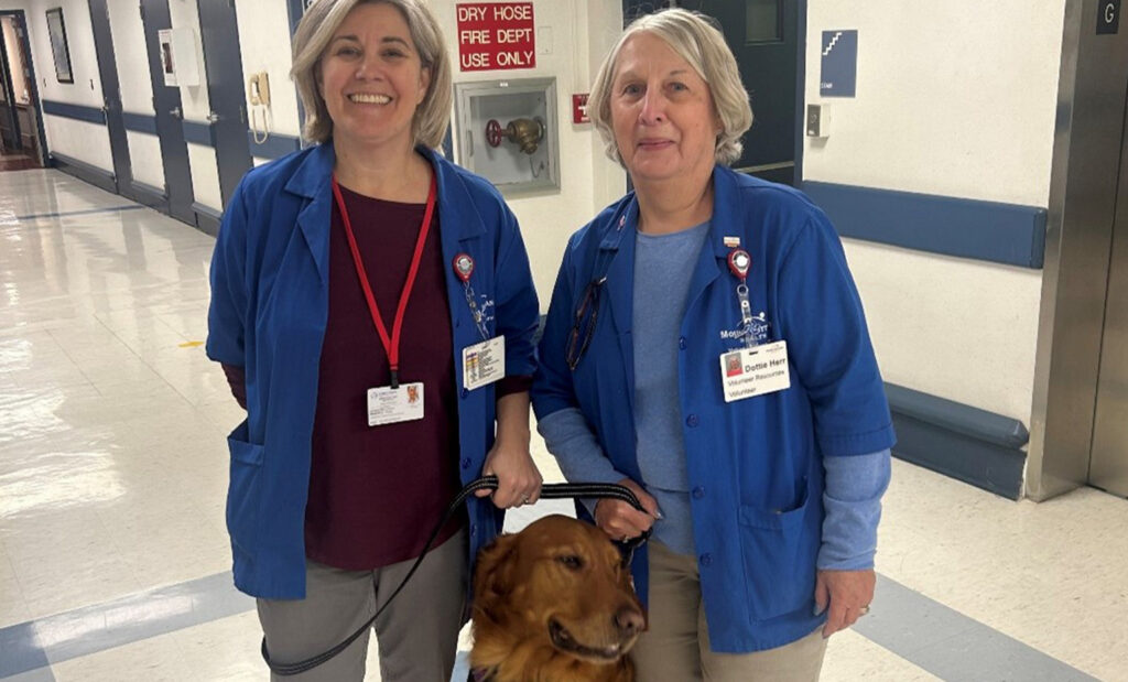 Two blue coat volunteers pose with a therapy dog in the hospital