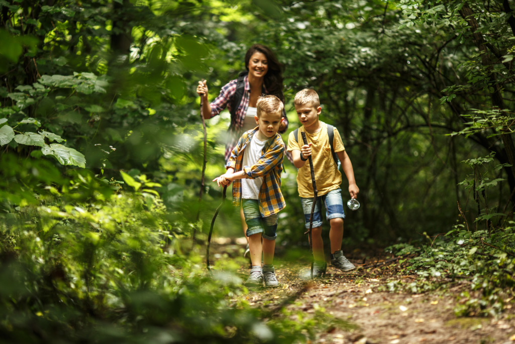 Mother and her little sons hiking trough forest